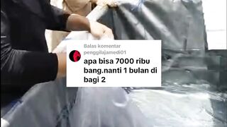 Tebar 7000 ekor bibit lele 1 kolam sebulan kemudain dibagi 2 kolam BISA atau TIDAK❓