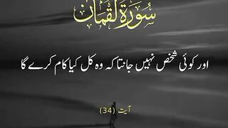 Quran Translate 8