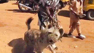 Watch what you don't see in Mama Africa #The_Professional_Driver