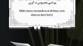 Best Quotes 81