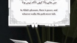 Best Quotes 83