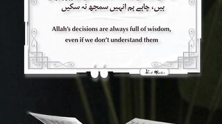 Best Quotes 84
