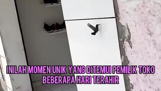 Ggbbh