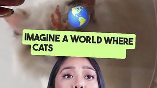 The most beautiful cats in the world