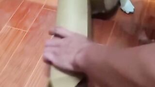 Super funny cat