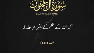 Quran Translate 9