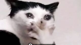 ???????????????????? 144