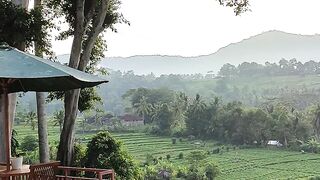Valley 2