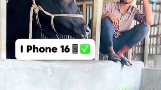 How to buy a new IPhone 16 #viral #shorts #reels #trending #viralvideo