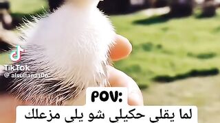 www.asd11wer1asd@gmail.com