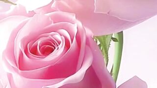 Beautiful nature 219