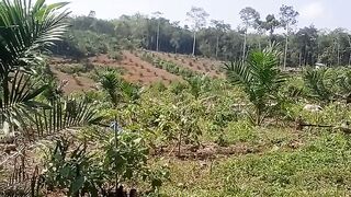 Wisata kholbu
