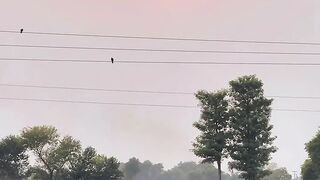 it's a so beautiful video from ,s village