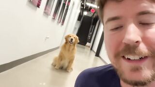World’s Smartest Dog