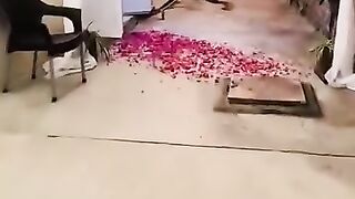funyy video clip 16