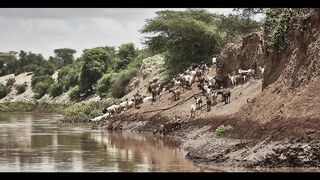 The Mursi / Surma Tribe in Ethiopia Part 7 #viral #shorts #youtubeshorts #mursi #ethiopia