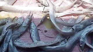 grilled fish