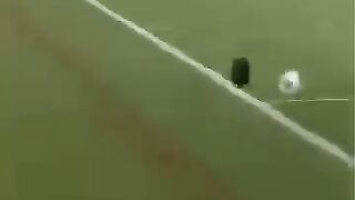 Cat play football lik a star