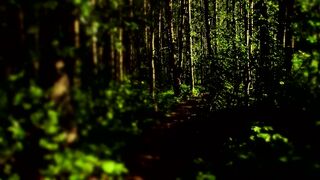 Blackmore_s Night - All Our Yesterdays (Official Video) (720P_HD).