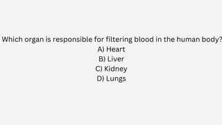 Human body facts 2