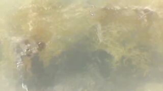 Sea moss farming #Shorts #Healty