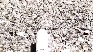 Nice short videos