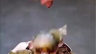 Surerbbb short story