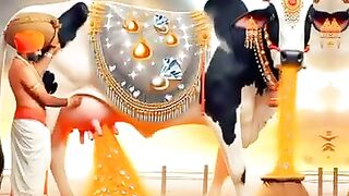 Best ☑️ Muslim ???????? Edit In The world #shorts #cow #islamicsayings #allah