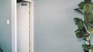 when there's a bird in the house