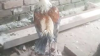 Towards the log