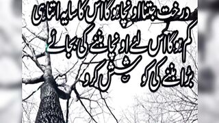 heart touching urdu quotes //beautiful Urdu quotes //golden words