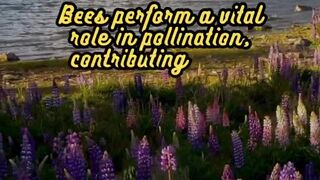 Animal Facts        Bees          #shorts