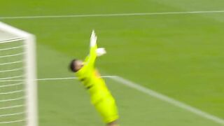 Best save david raya