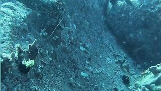 Lobster in the deepth