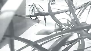 Weekends (sample)