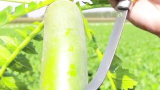 সবুজ মূলা আলহামদুলিল্লাহ
