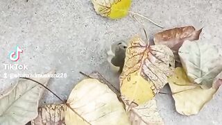 thukra deya mara bura waqt