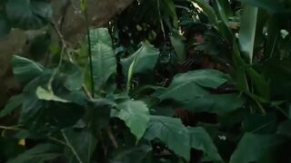 Forest Fight _ Thrilling Chasing Scene - Apocalypto (2006) -