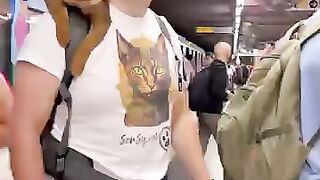 Un Gatto in  Metro