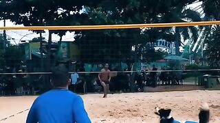 Dog playing volleyball