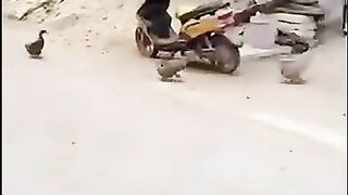 Wahhhh 6