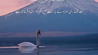 Quran Translate 11