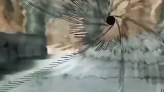ZAZUKE VS DANZOU