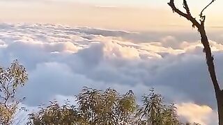 the natural charm of Indonesia#nature#indonesia