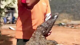 Crocodile Eaters OMG