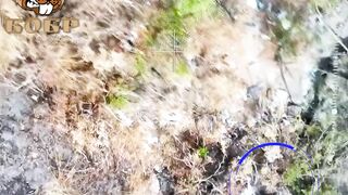 Минус расчёт БПЛА ВСУ ! Всем добра, хохлам БОБРА !!!