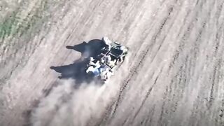 "ИРЛАНДЦЫ" жгут в прямом и переносном смысле ????????????