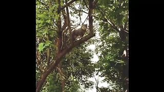 Best acting ever | Girl | Cat