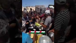 Palestine Gaza video