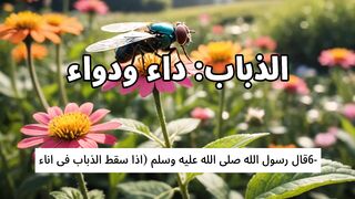 الاعجاز العلمى فى القرءان والسنة 6